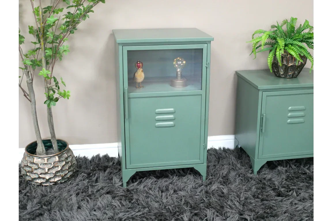 Green metal storage cabinet with glass display door on grey rug, with potted plants nearby