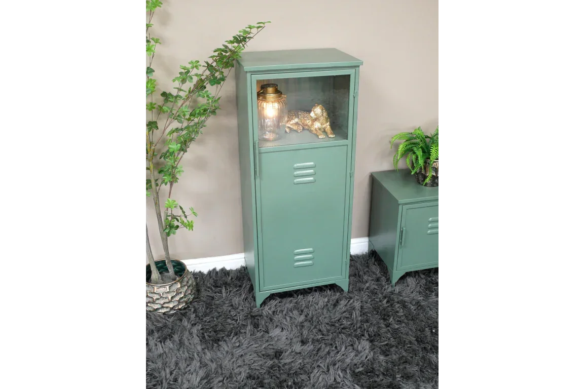 Green metal storage cabinet with glass display shelf, shown on a grey rug beside plants