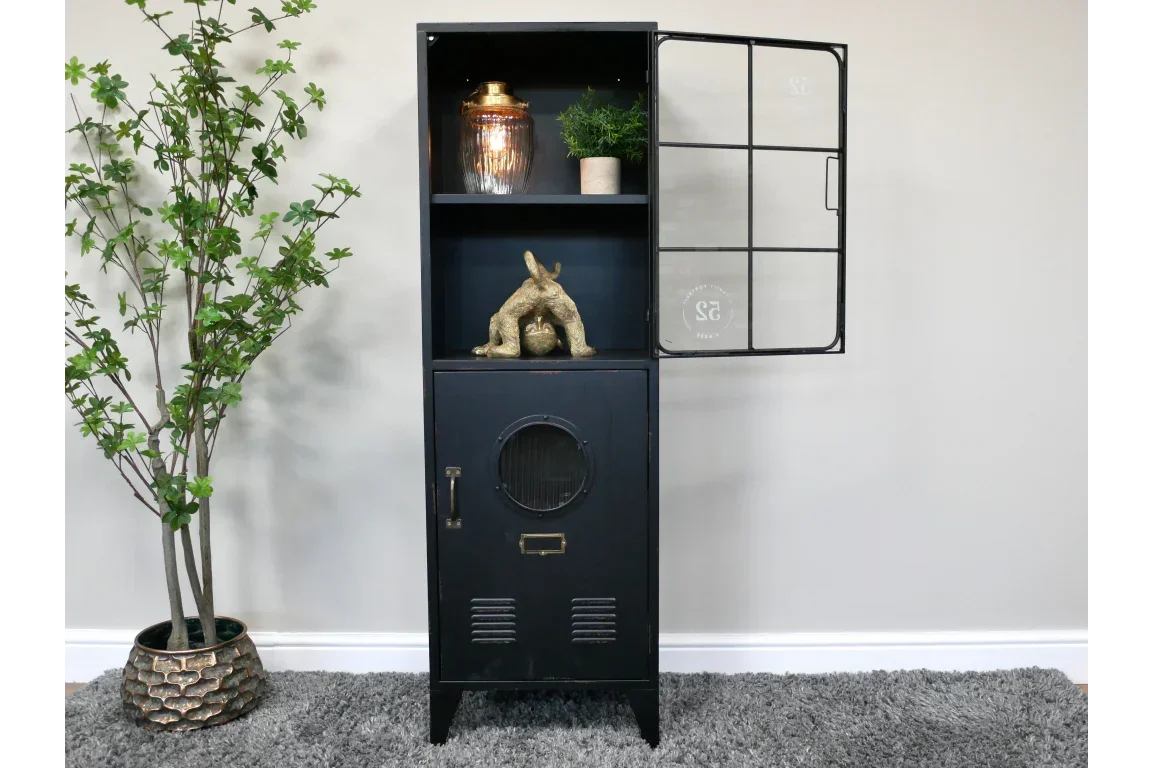 Black metal cabinet with glass door, two shelves displaying decor, set on grey rug