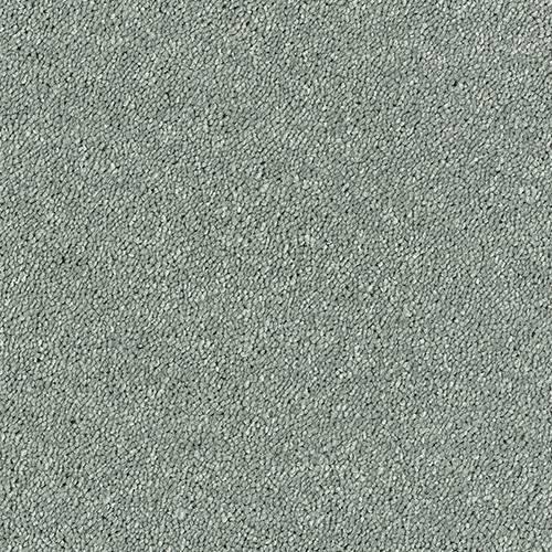 Sophisticat Platinum Carpet - Platinum / 2.5m