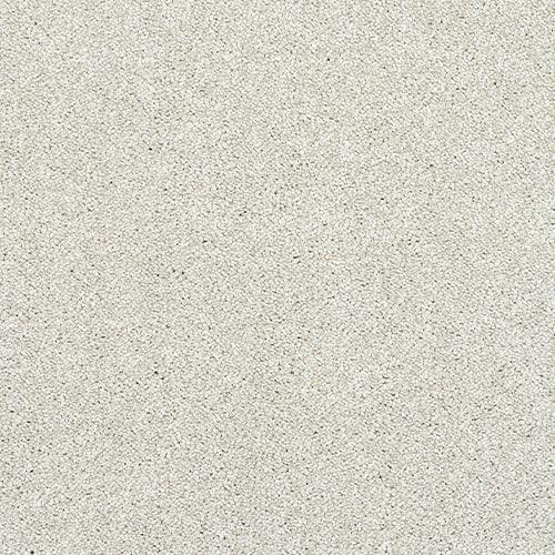 Stainfree Caress Champagne Carpet - Champagne / 2.5m