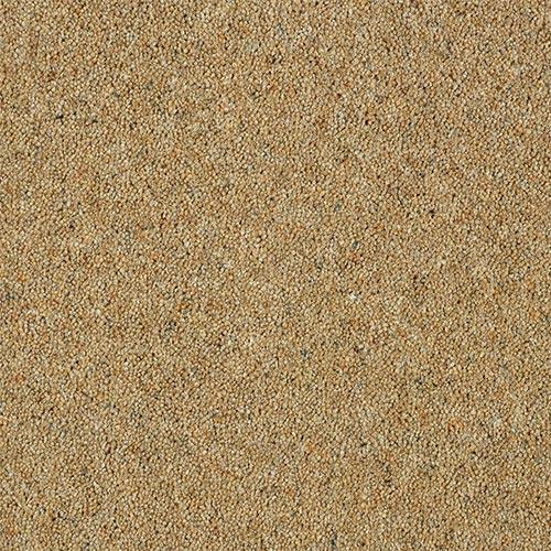 Charter Berber Deluxe Sandstone Carpet - Sandstone / 2.5m