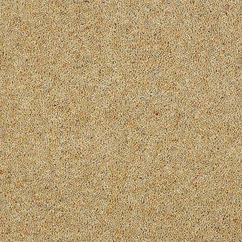 Charter Berber Deluxe Honey Gold Carpet - Honey Gold / 2.5m
