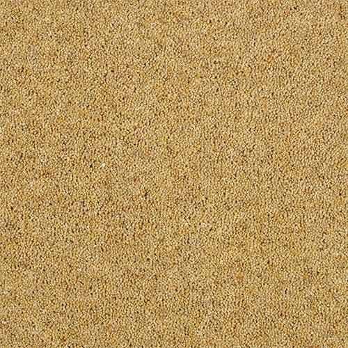 Charter Berber Deluxe Summer Sun Carpet - Summer Sun / 2.5m