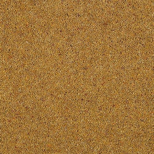 Charter Berber Deluxe Mustard Carpet - Mustard / 2.5m