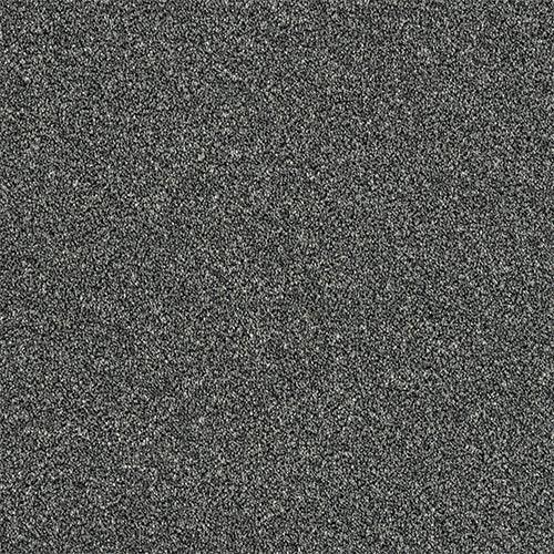 Rustique Twist Ash Grove Carpet - Ash Grove / 2.5m