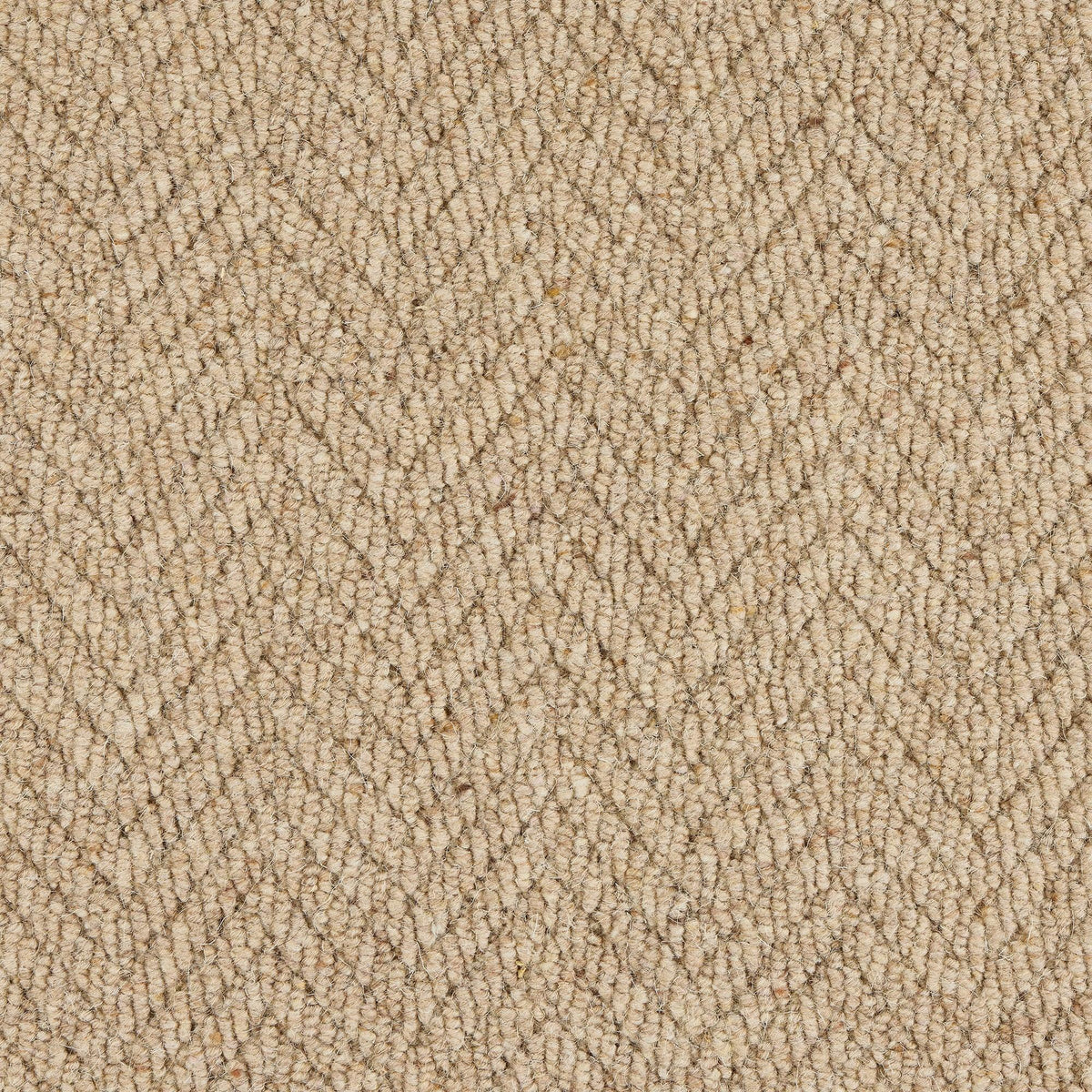 Royal Sterling Biscotti Carpet - Biscotti / 2.5m