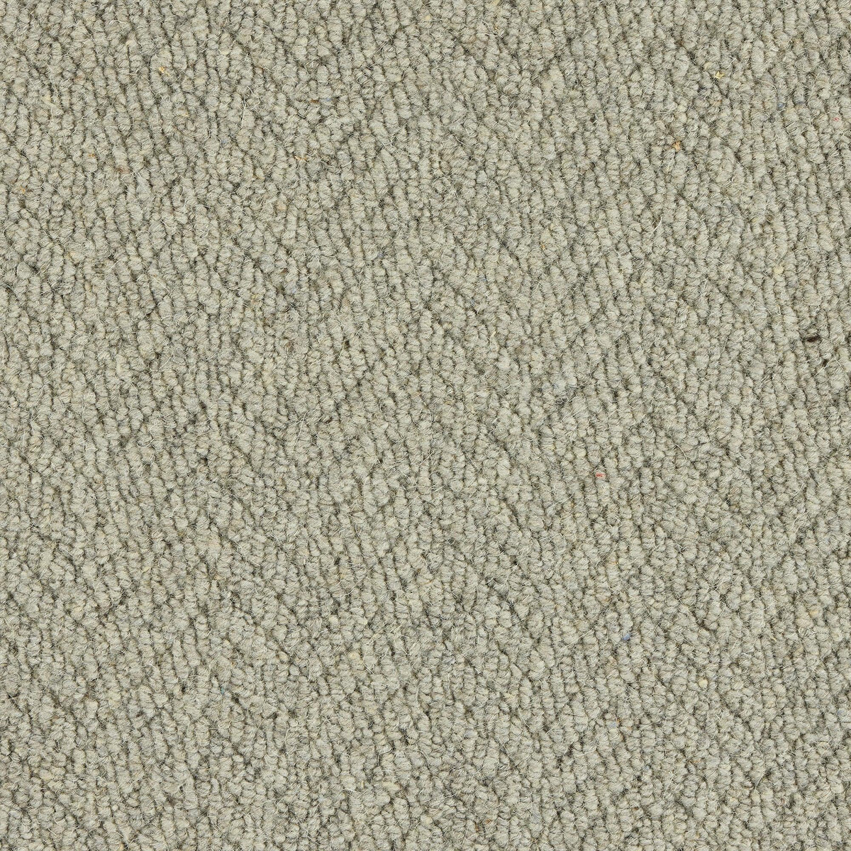 Royal Sterling Squirrel Carpet - Squirrel / 2.5m