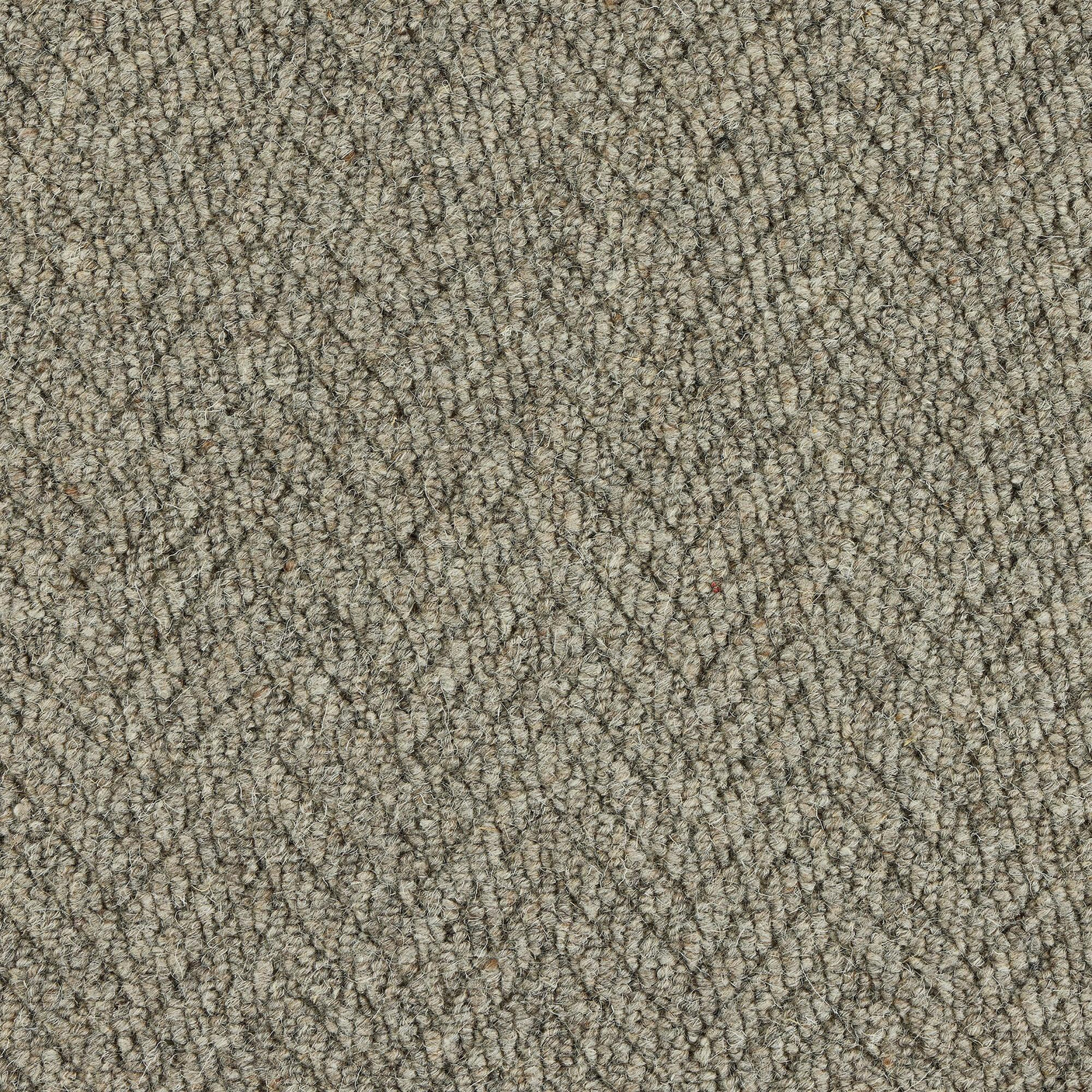 Royal Sterling Sabre Carpet - Sabre / 2.5m