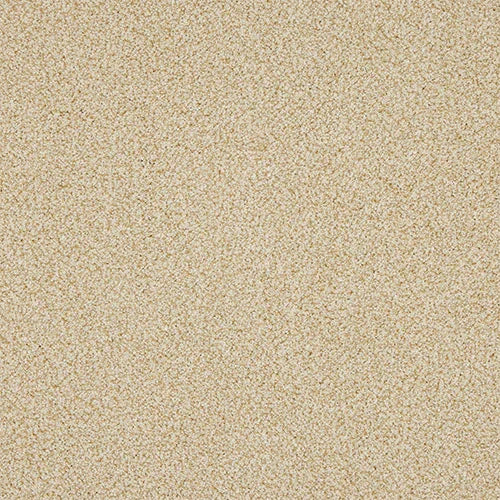 Knightsbridge Berber Desert Fleece Carpet - Desert Fleece / 2.5m