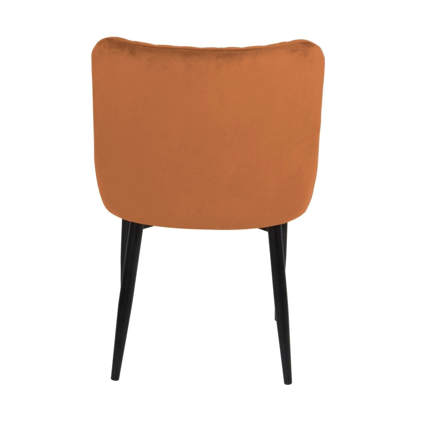 Talia Dining Chair