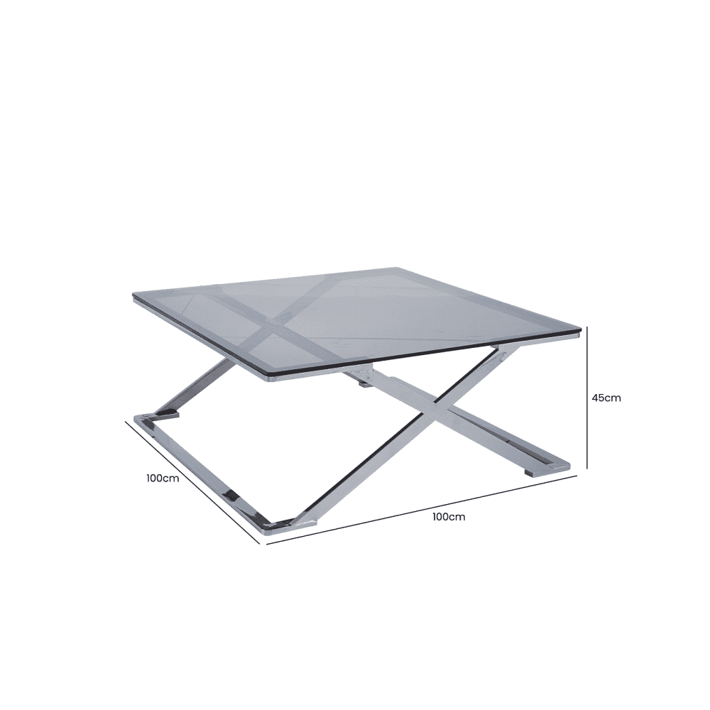 Axel Grey Gunmetal Coffee Table with Smoke Glass- 2 Parts