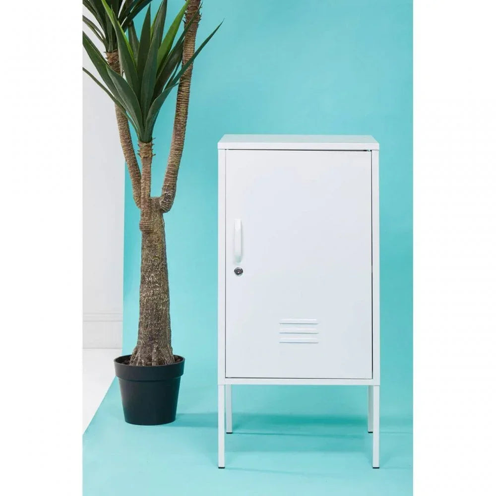 White metal storage cabinet with single door beside potted plant on blue background