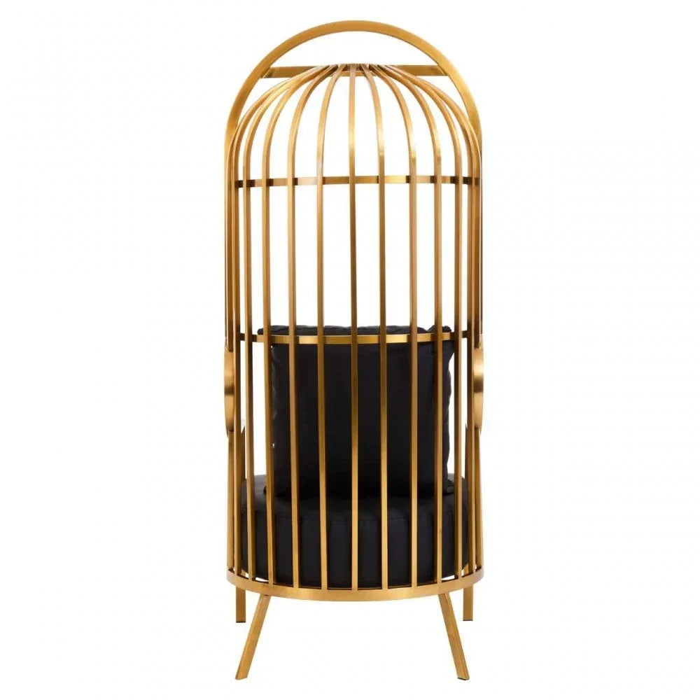Gold cage accent chair with black cushion and pillow, modern living room seating