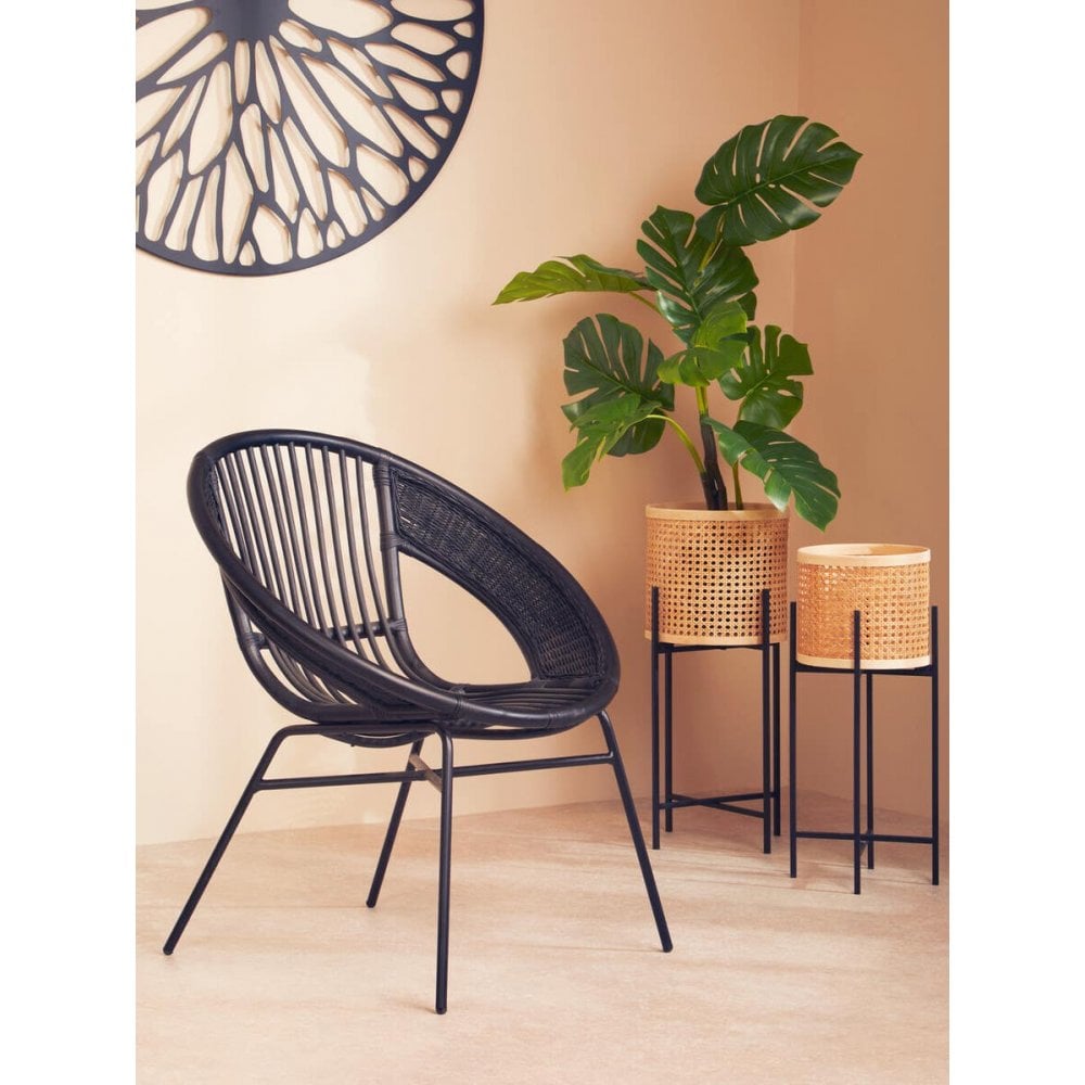 Brixton Black Natural Rattan And Iron Black Chair