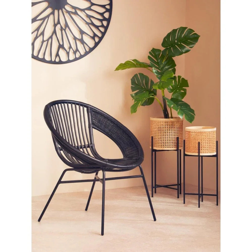 Brixton Black Natural Rattan And Iron Black Chair