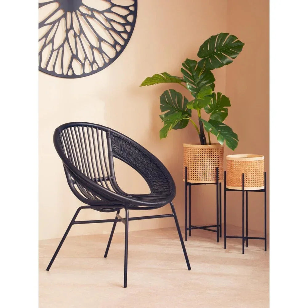 Black rattan accent chair beside wicker plant stands with green foliage in modern interior