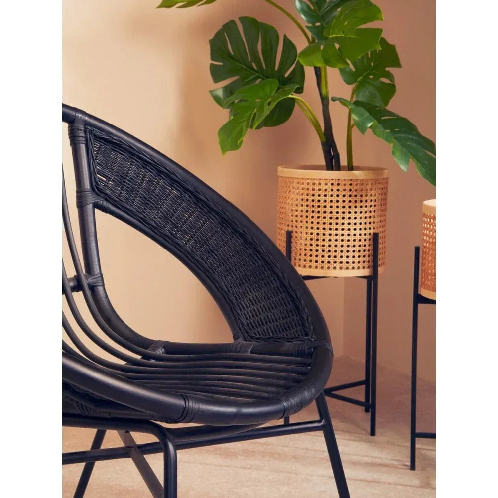 Black rattan chair with curved frame beside woven plant stand and green leafy plant