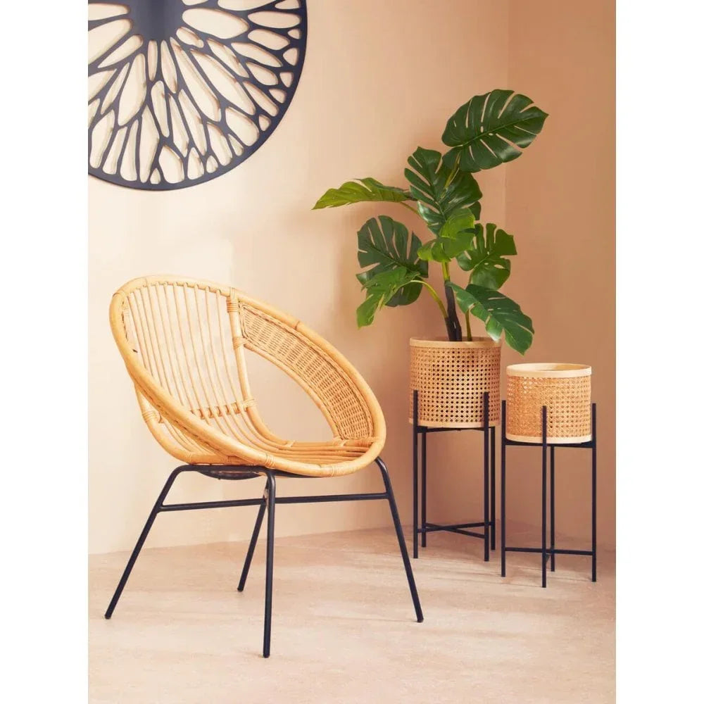 Rattan accent chair with black metal legs and plant stands in a modern living room corner