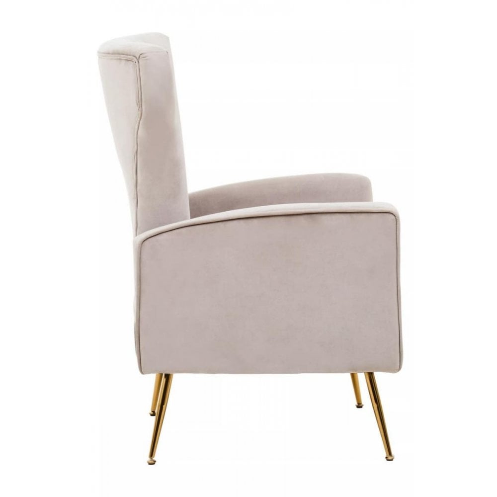 Elara Velvet Accent Chair With Gold Finish Legs