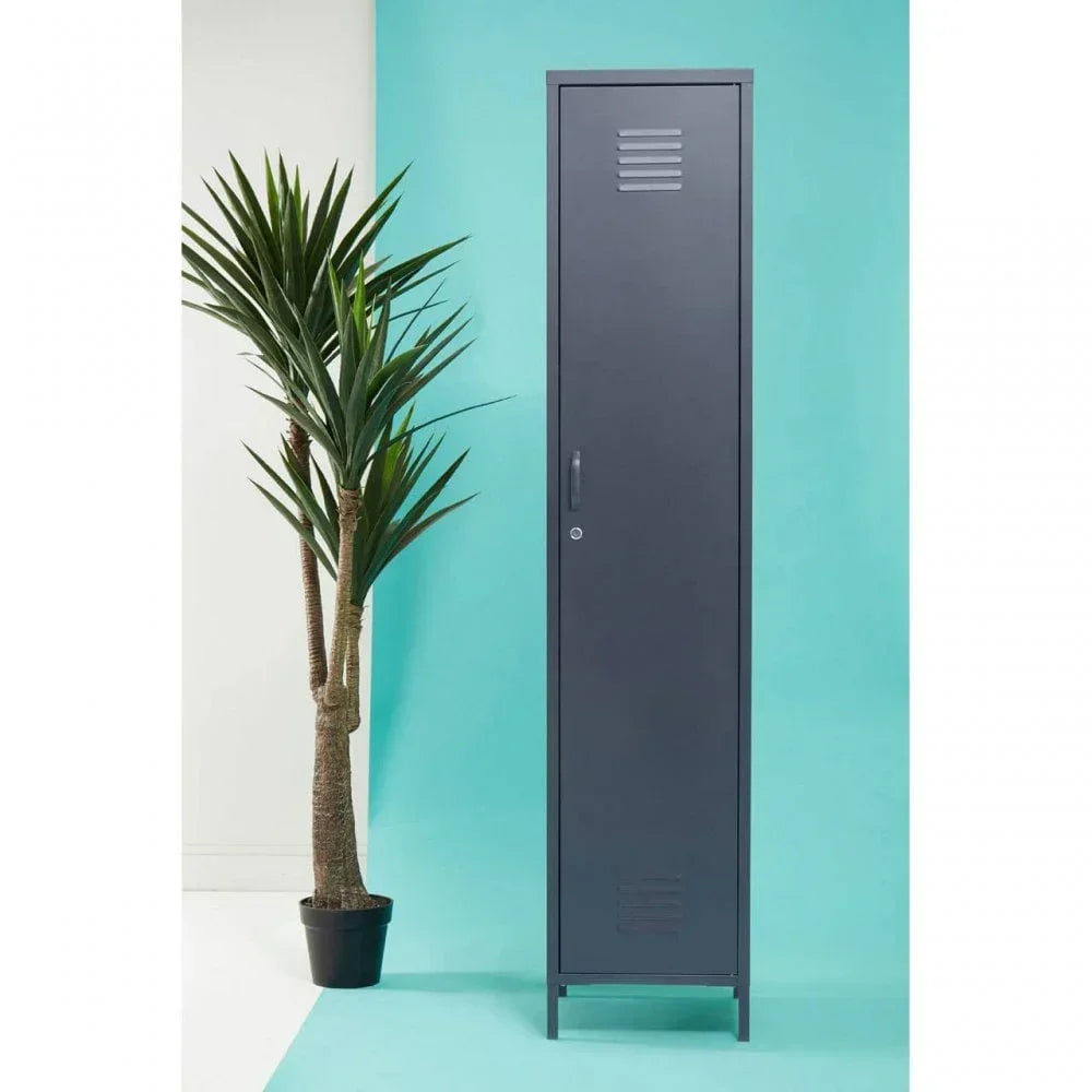 Slim grey metal locker cabinet with door vents beside potted plant on blue background
