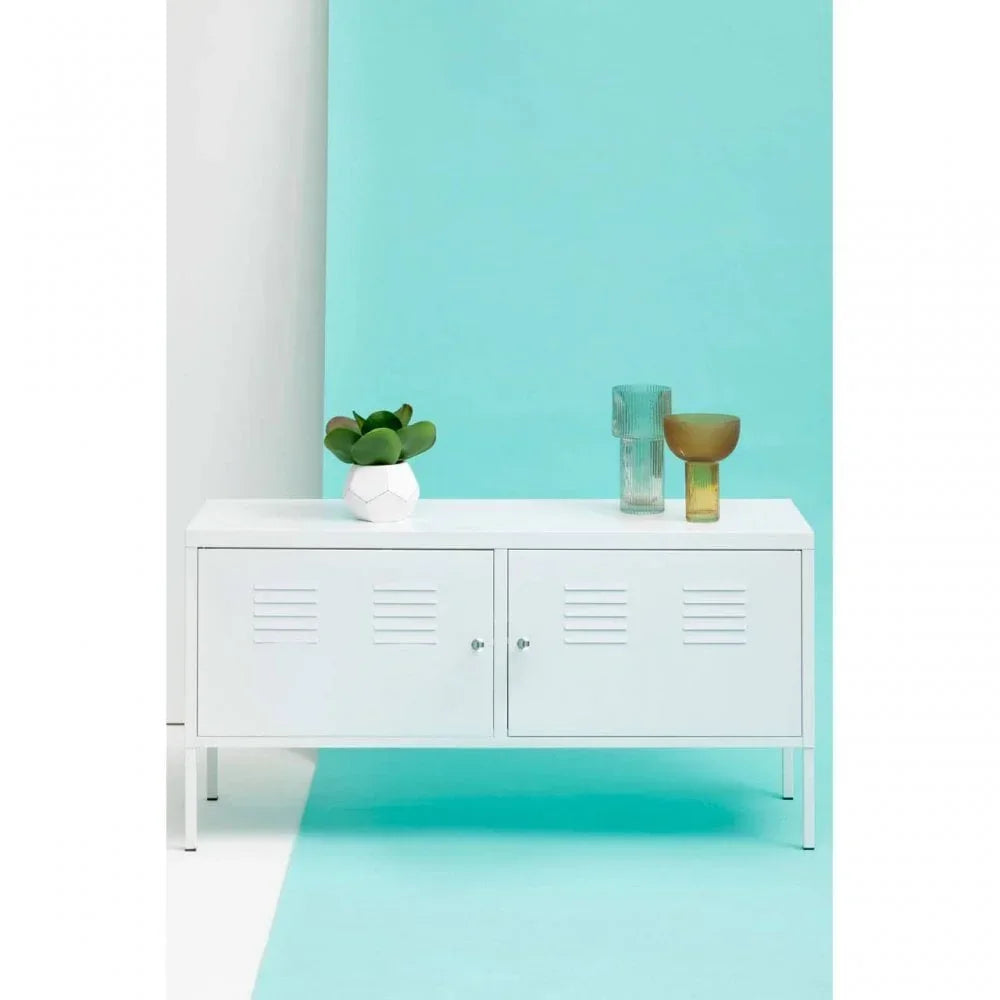 White metal storage cabinet with double doors, indoor plant and glass vases on top