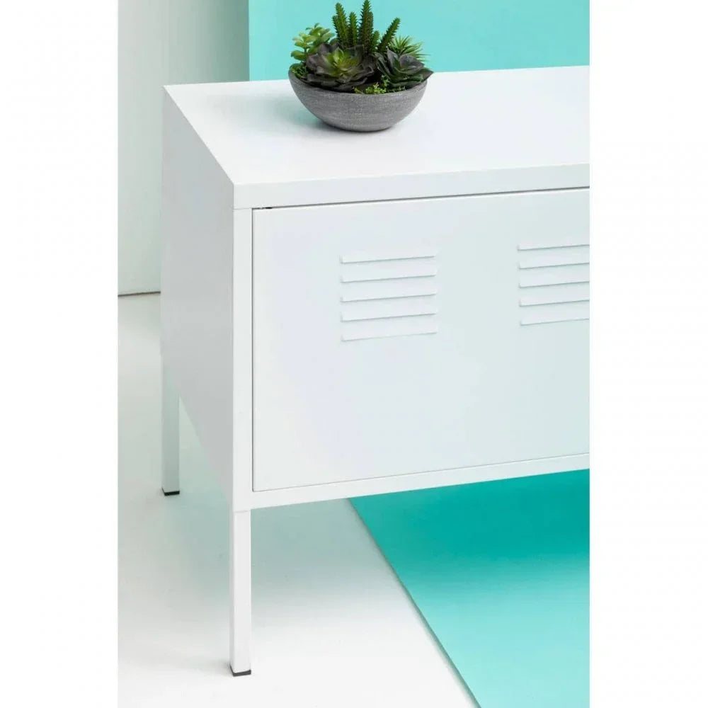 White metal storage cabinet with vented door and succulents in a grey bowl on top