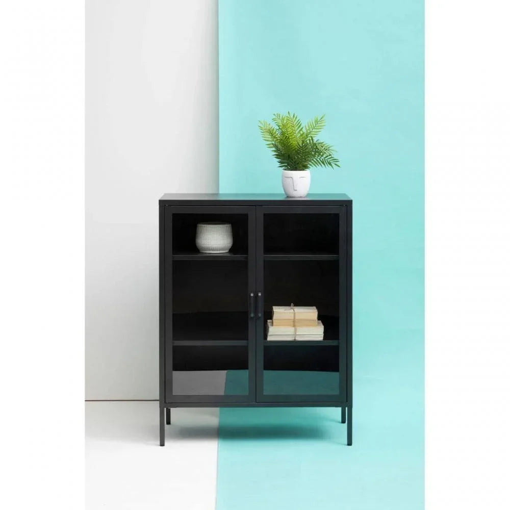 Black glass display cabinet with two doors, styled with plant and decor items on and inside
