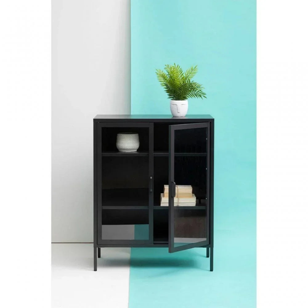 Black display cabinet with glass doors, shelves, and potted plant on top against blue background