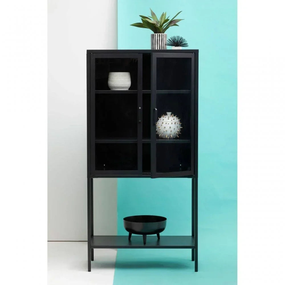 Black glass display cabinet with shelf, decorative vase and plant, minimal modern style