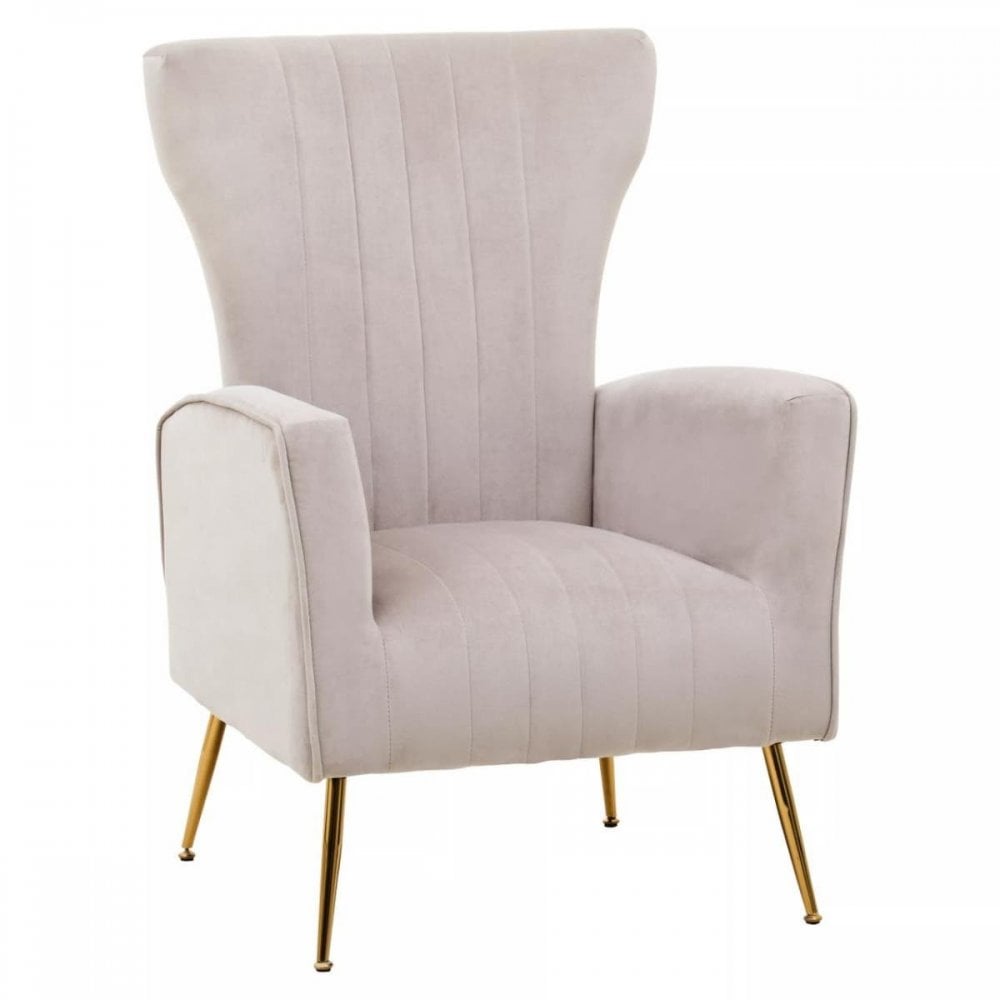 Elara Velvet Accent Chair With Gold Finish Legs