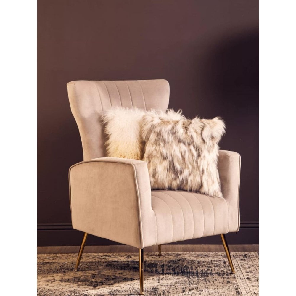 Elara Velvet Accent Chair With Gold Finish Legs