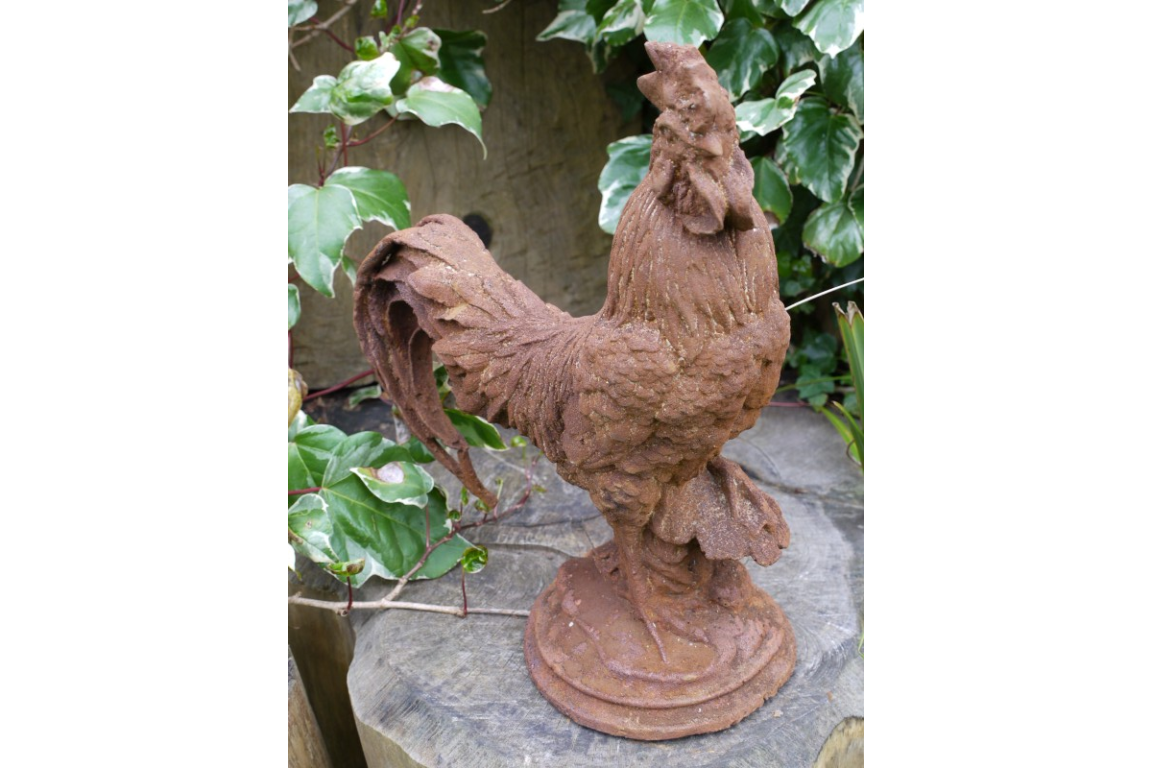 Cockerel (Sm/Rusty) - 2389