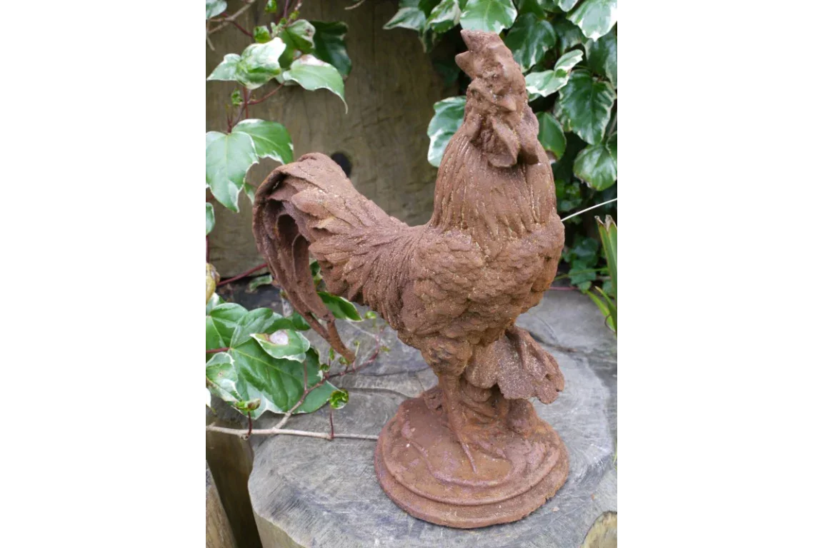 Cockerel (Sm/Rusty) - 2389