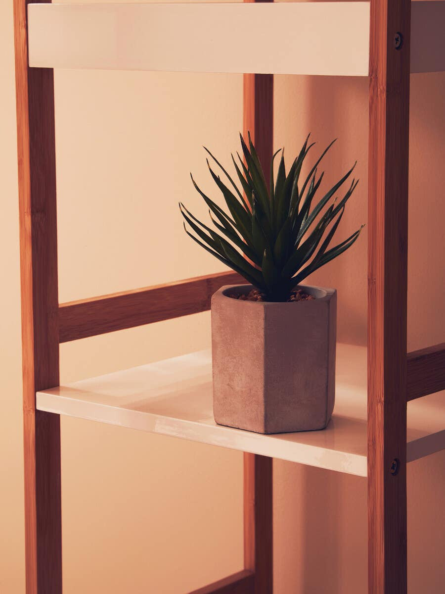 A small shelf unit with three tiers, featuring a high gloss white finish and wooden frame. A potted plant sits on the middle shelf, adding a touch of greenery to the minimalist design. The background has soft lighting, enhancing the modern aesthetic of the furniture
