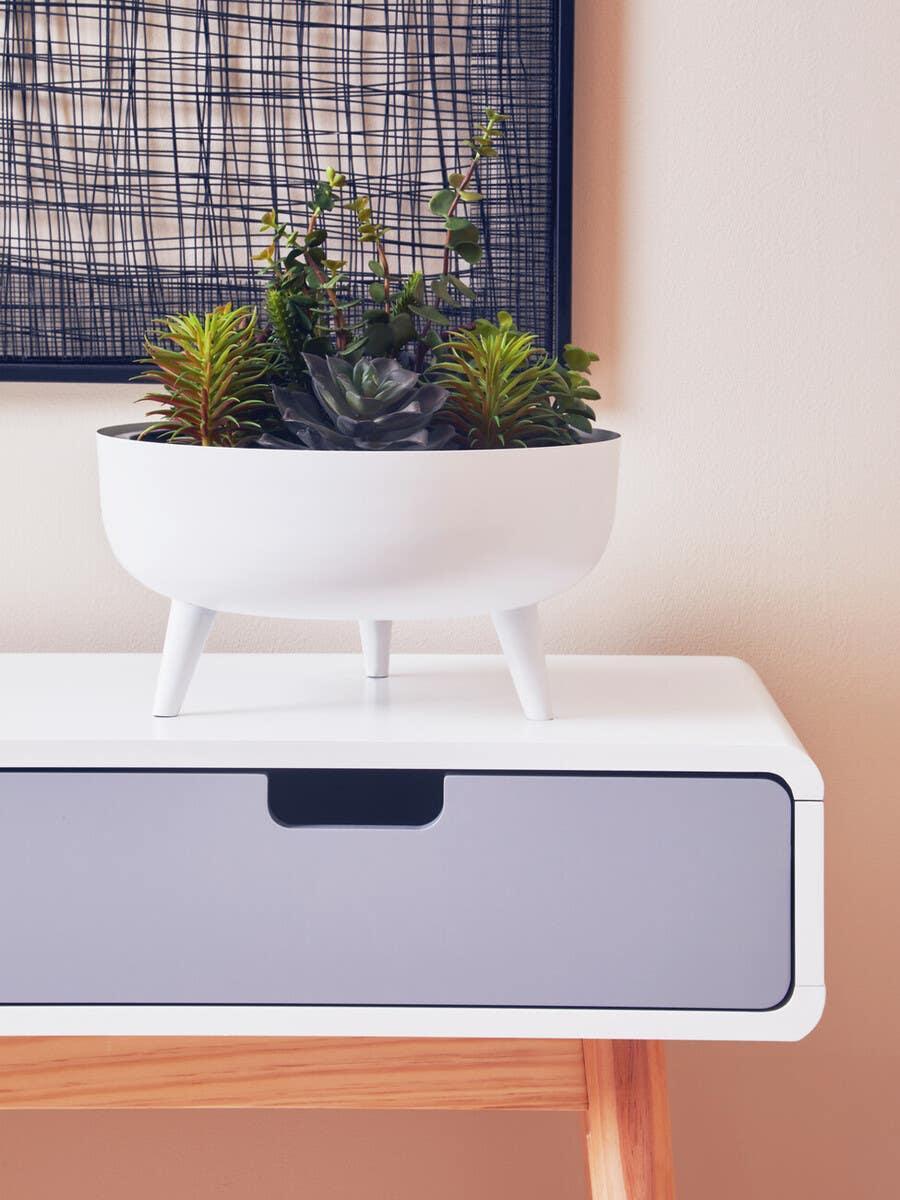 White side table with single drawer and modern plant pot with succulents