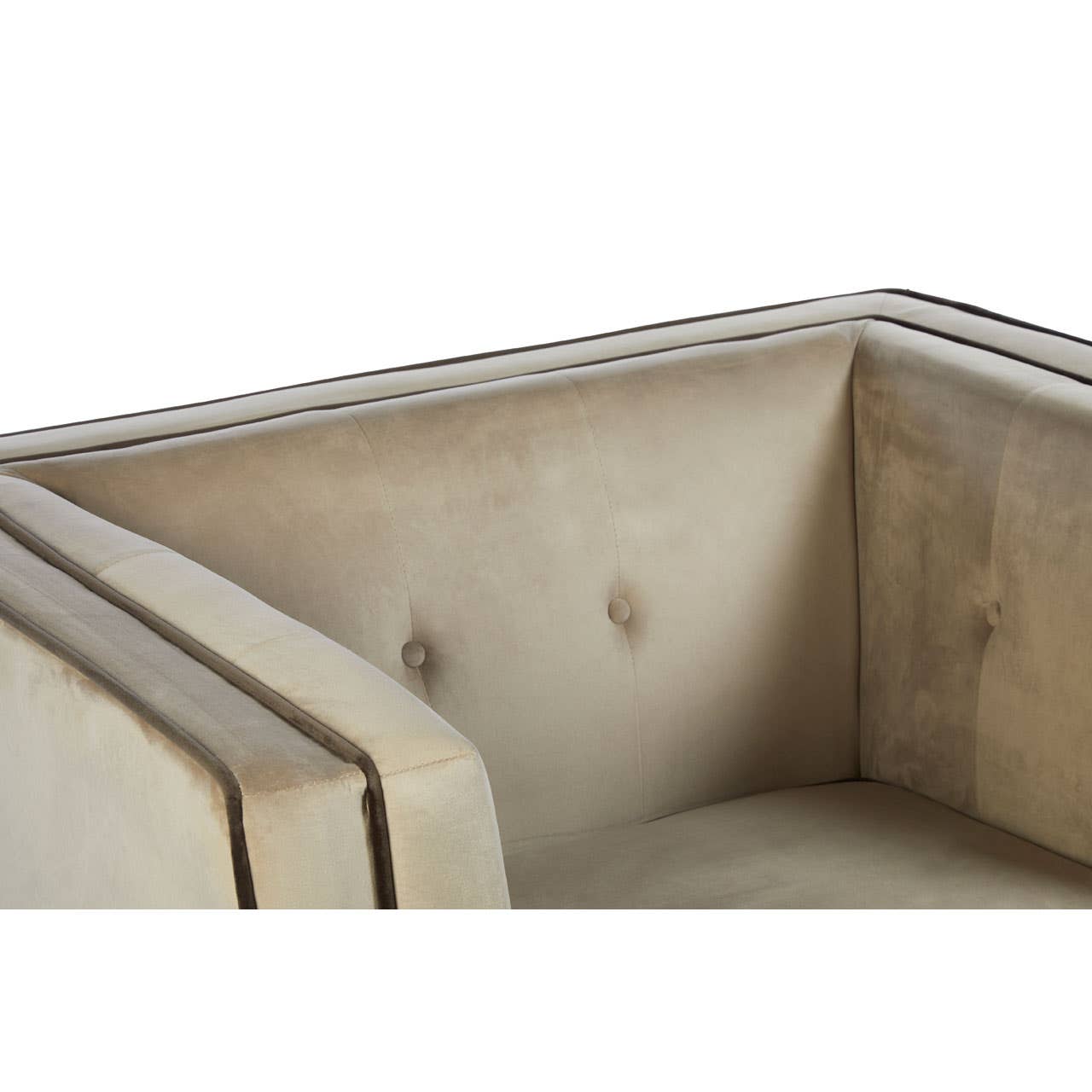 Luxe Mink Velvet Accent Chair