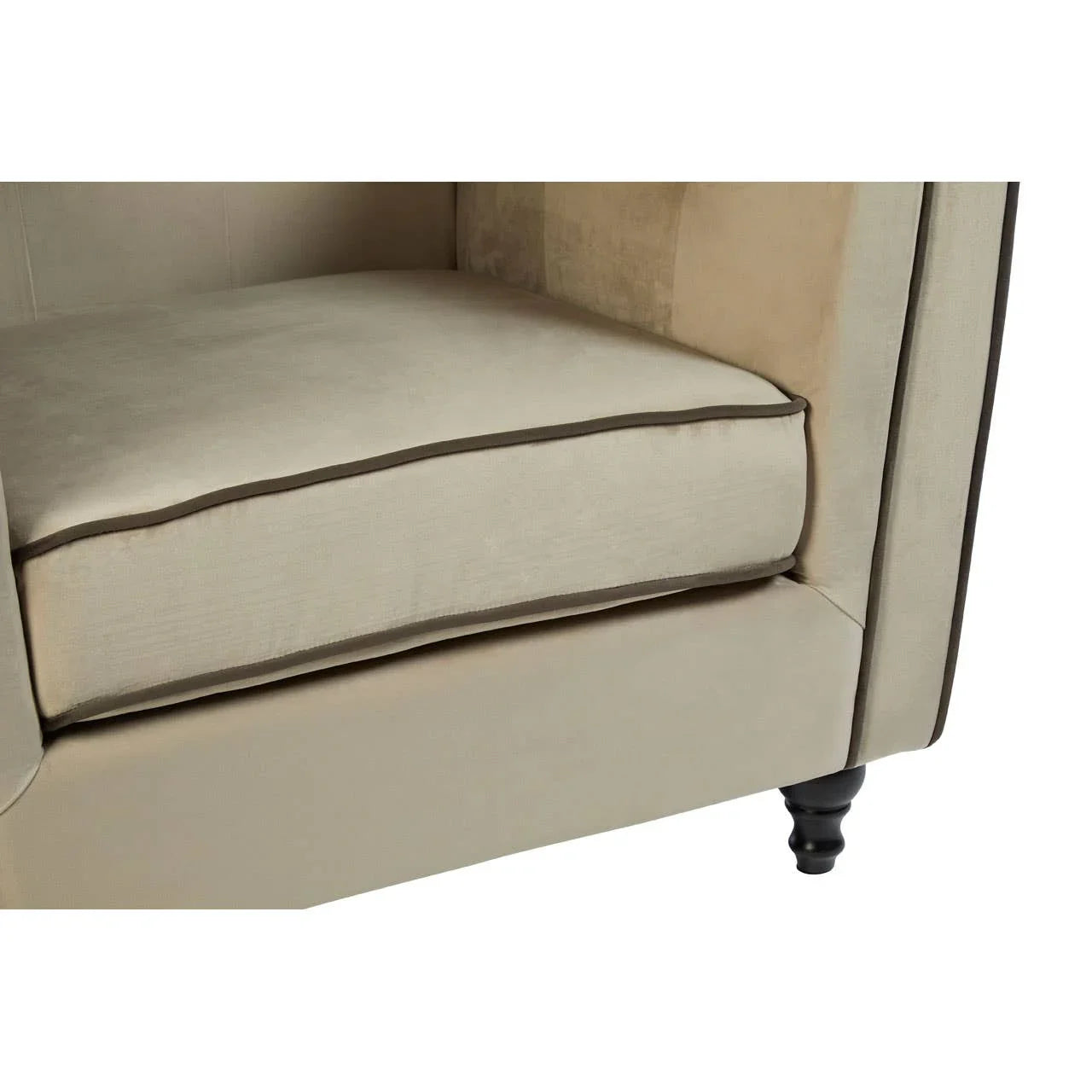 Luxe Mink Velvet Accent Chair