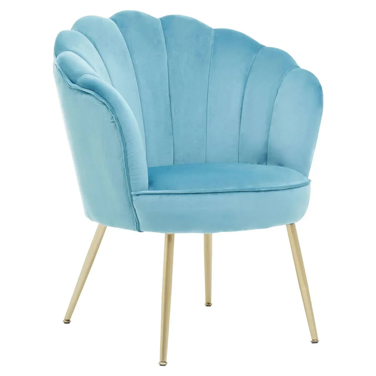 Blue velvet accent chair with scalloped back and gold metal legs