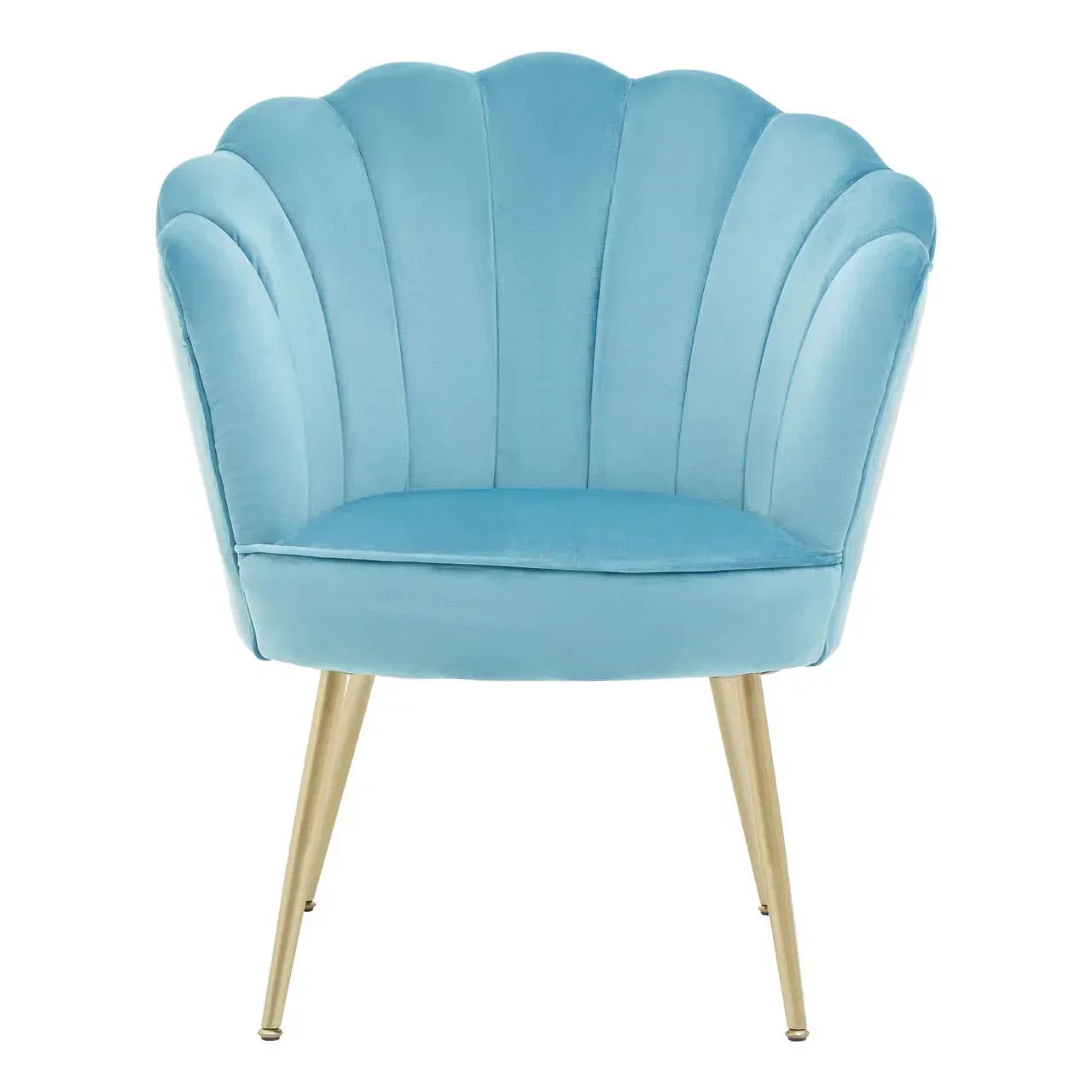 Blue velvet accent chair with scalloped backrest and gold metal legs, front view