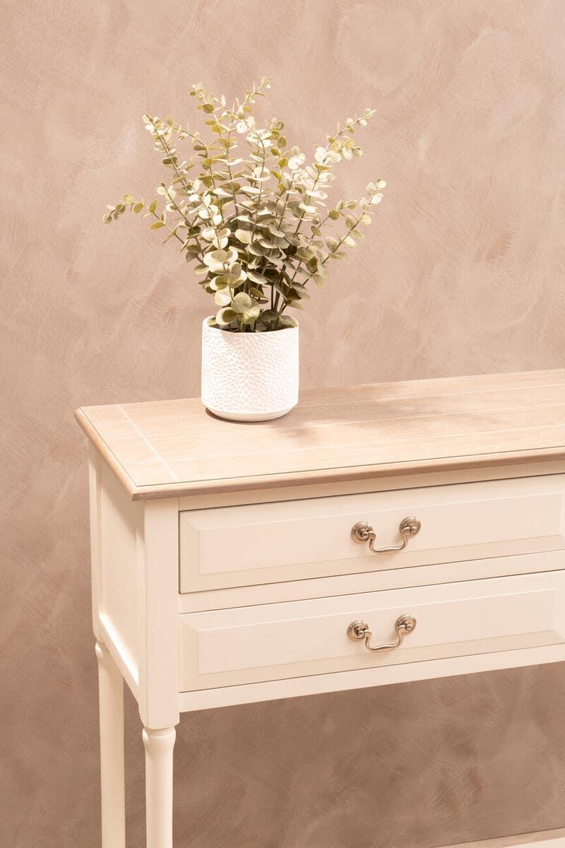 Cream console table with two drawers and potted plant decor against beige wall