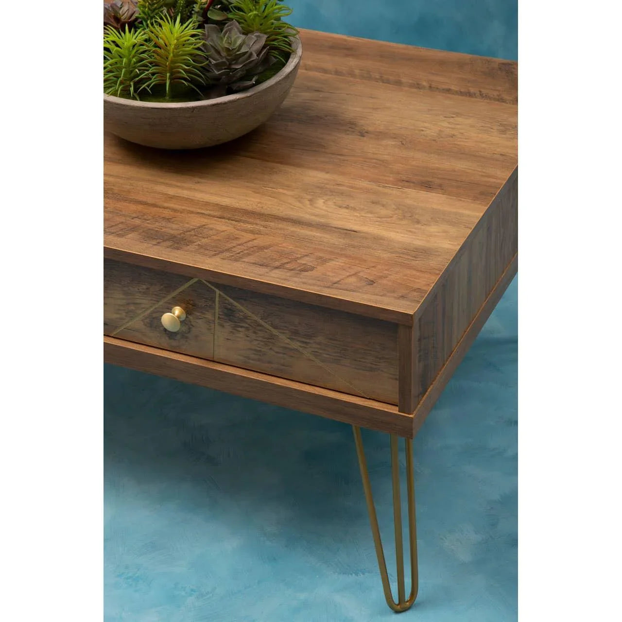Wooden coffee table with gold metal legs and single drawer, succulent bowl on top