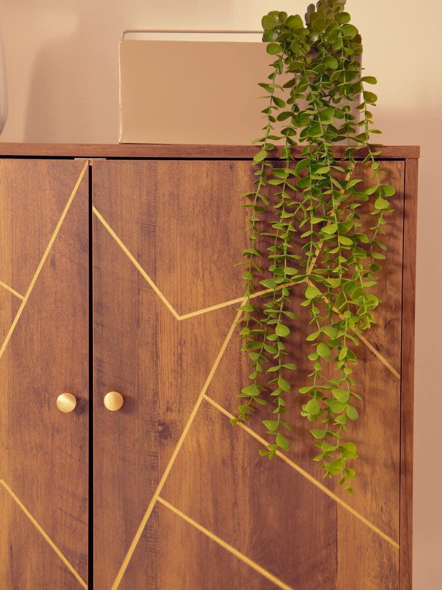 Wooden storage cabinet with gold geometric pattern and plant decor on top