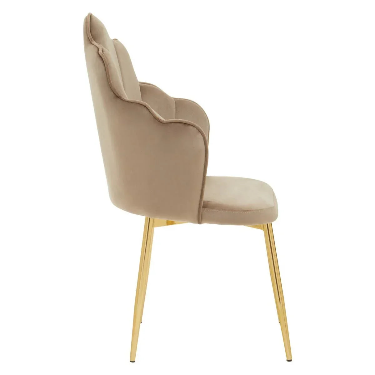 Beige velvet dining chair with scalloped back and gold metal legs, side profile view