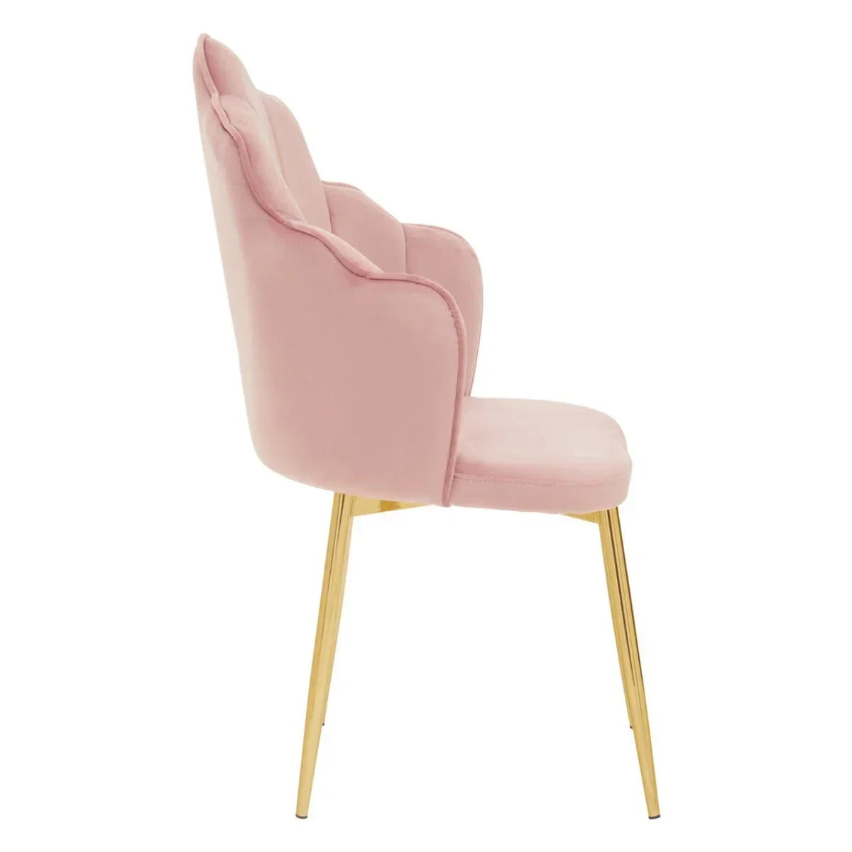 Pink velvet dining chair with scalloped backrest and gold metal legs, side profile view