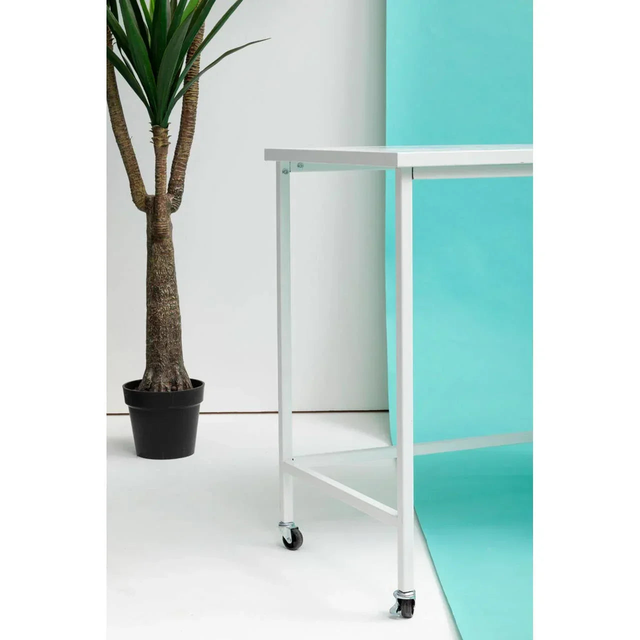 White metal table on casters beside indoor potted plant against blue backdrop