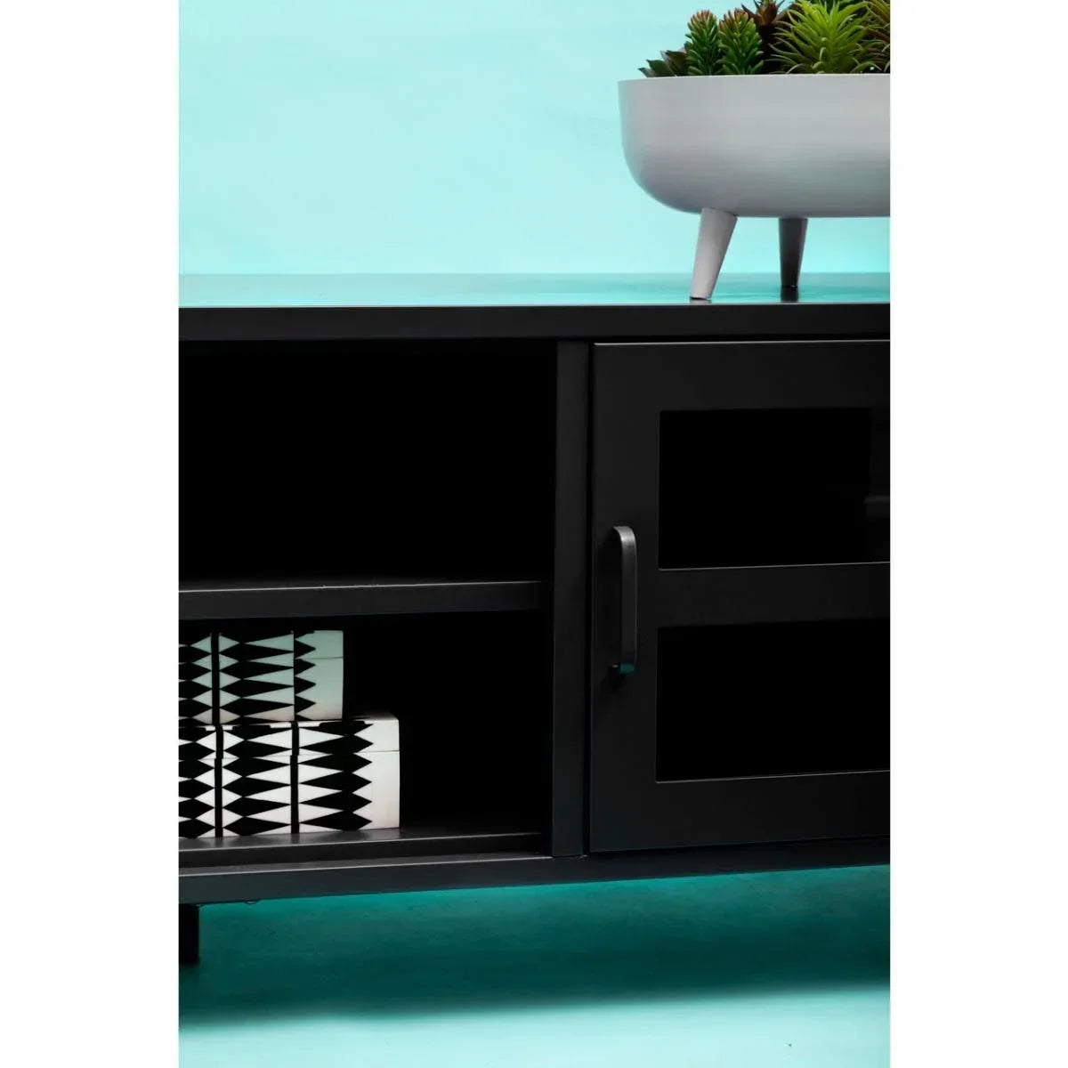 Black TV unit with glass door, shelf storage, and decorative planter on top