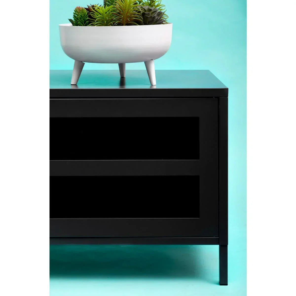 Black metal sideboard with two drawers, white ceramic planter and succulent display on top