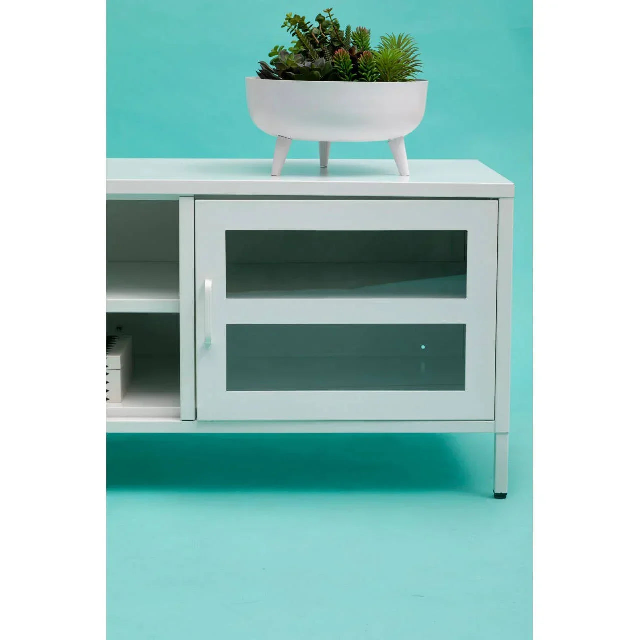 White metal TV unit with glass door, open shelf and potted succulent on top