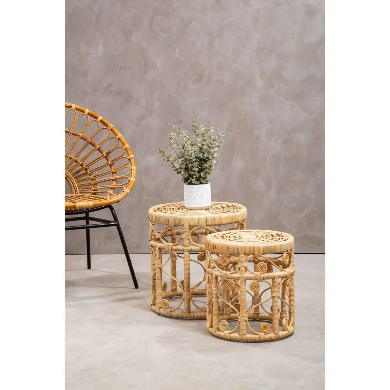 Round rattan side tables with decorative cutouts and potted plant beside rattan armchair